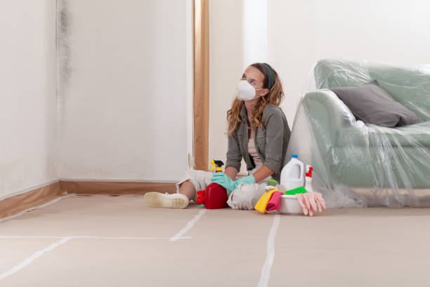 Reliable Basement Mold Remediation contractor in Danvers, IL by WQB Mold Removal